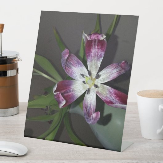 Tulpventiel Reclamebord Met Voetstuk (Insitu)