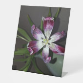 Tulpventiel Reclamebord Met Voetstuk (Voorkant)