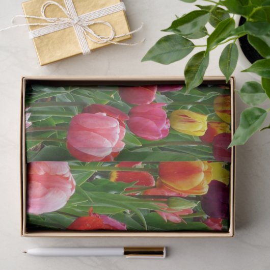 Tulpventiel Tissuepapier (Geschenk)