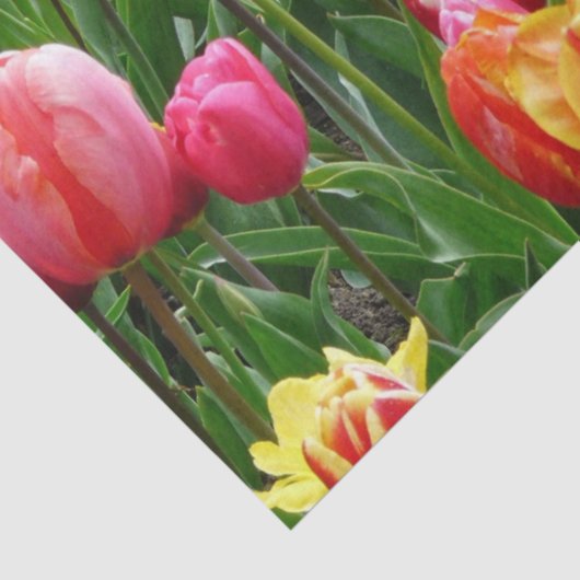 Tulpventiel Tissuepapier (Detail)