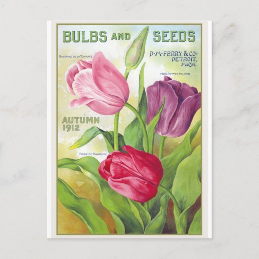 Tulpventilator Botanisch  Briefkaart (Voorkant)