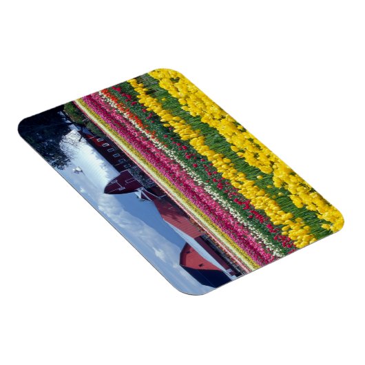 Tulpweergaveveld Magneet (Rechterzijde)