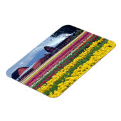 Tulpweergaveveld Magneet (Linkerzijde)