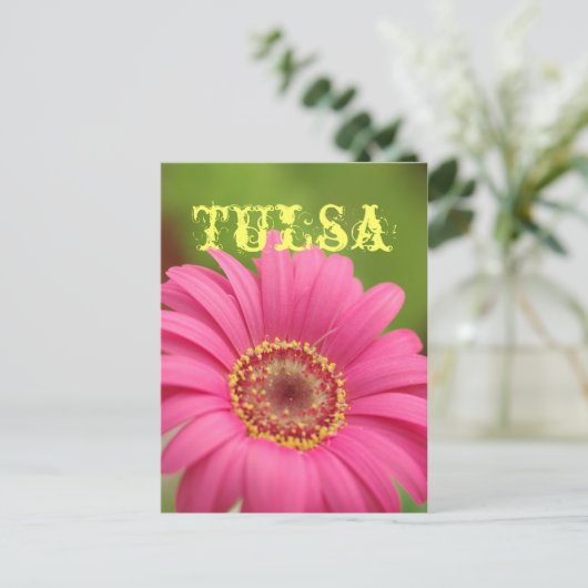 "Tulsa" Pink Gerbera Daisy Postcard Briefkaart (Staand voorkant)
