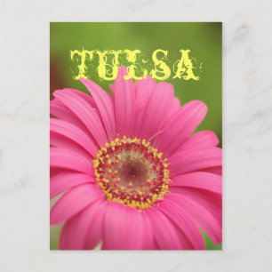 "Tulsa" Pink Gerbera Daisy Postcard Briefkaart