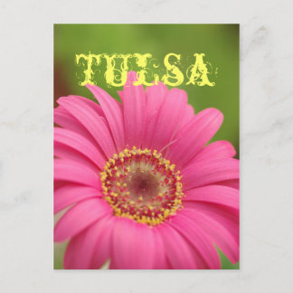 "Tulsa" Pink Gerbera Daisy Postcard Briefkaart