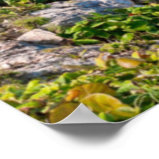 Tulum Beach Poster (Hoek)