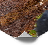 Tulum Mayan Ruins Mexico Travel Souvenir Poster (Hoek)