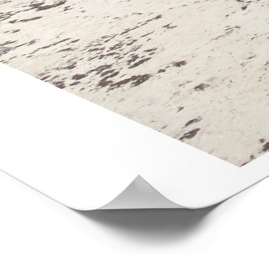 Tulum Mayan Ruins Poster (Hoek)