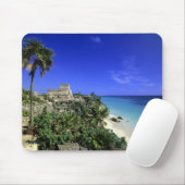 Tulum, Mexico 2 Muismat (Met muis)