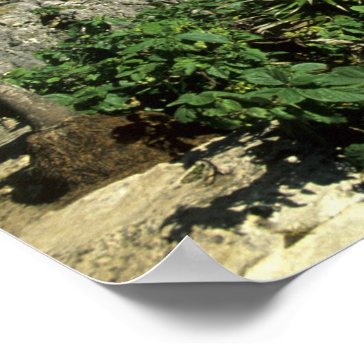 Tulum, Mexico 2 Poster (Hoek)