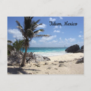 Tulum, Mexico - Beach - Palm Trees Briefkaart