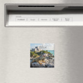 Tulum Mexico Reizen Iguana Magneet (Insitu (Vaatwasser))