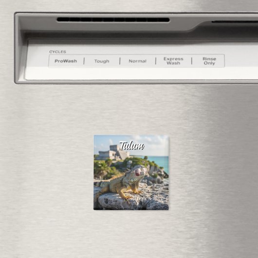 Tulum Mexico Reizen Iguana Magneet (Insitu (Vaatwasser))