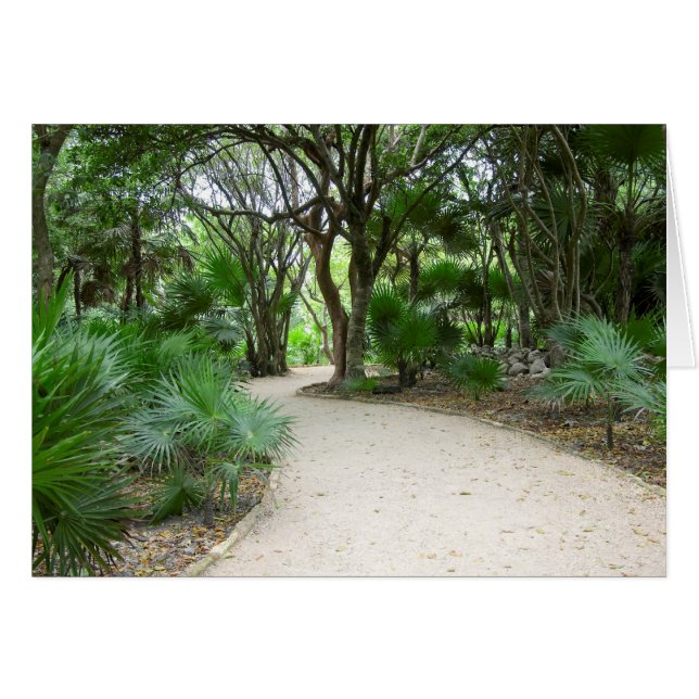 Tulum Trail (Voorkant Horizontaal)