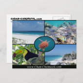 Tulum Vacation Rentals - Chan Chemuyil Post Card Briefkaart (Voorkant / Achterkant)
