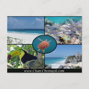 Tulum Vacation Rentals - Chan Chemuyil Post Card Briefkaart