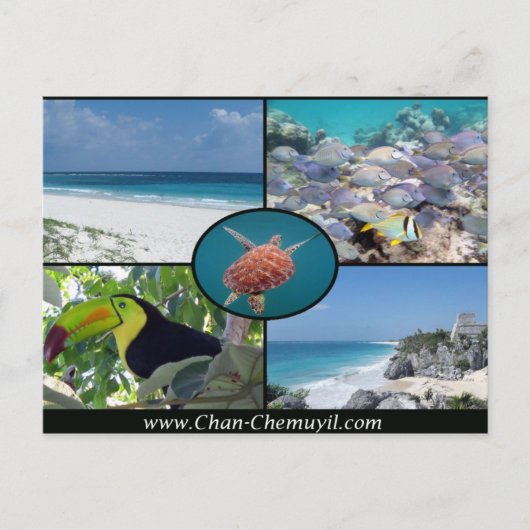Tulum Vacation Rentals - Chan Chemuyil Post Card Briefkaart (Voorkant)