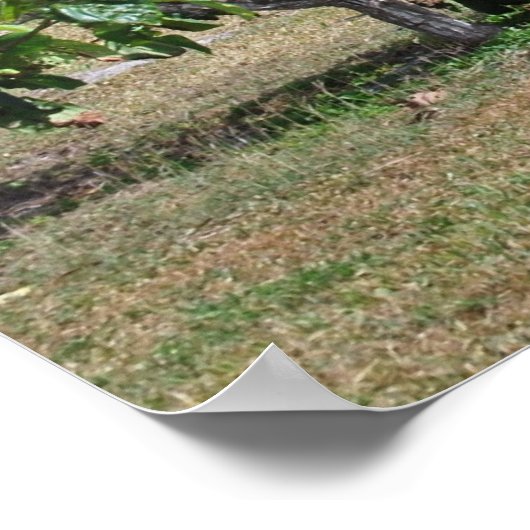 Tulumruiten Poster (Hoek)