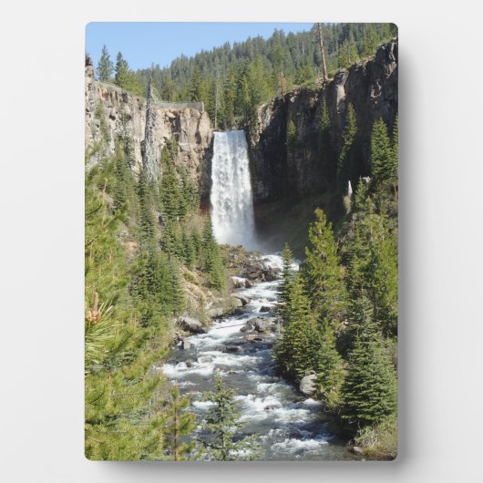 Tumalo-Herfsten, OF Fotoplaat (voorkant)