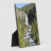 Tumalo-Herfsten, OF Fotoplaat (Zijkant)