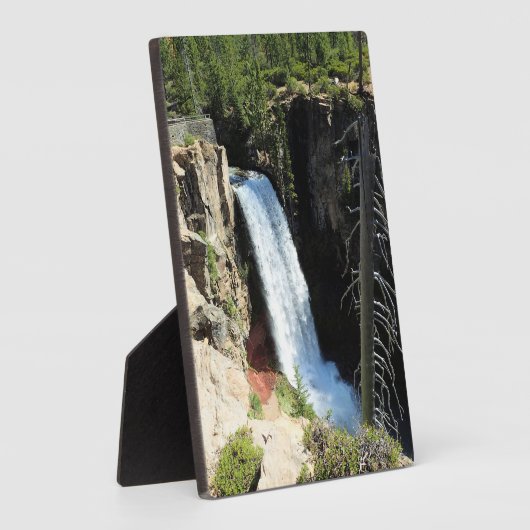 Tumalo-Herfsten, OF Fotoplaat (Zijkant)