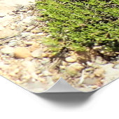 Tumalo-Herfsten, OF Poster (Hoek)