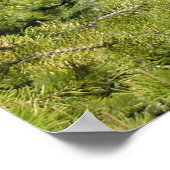 Tumalo-Herfsten, OF Poster (Hoek)