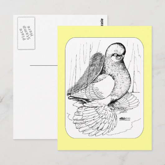 Tumbler 1978 briefkaart (Voorkant / Achterkant)