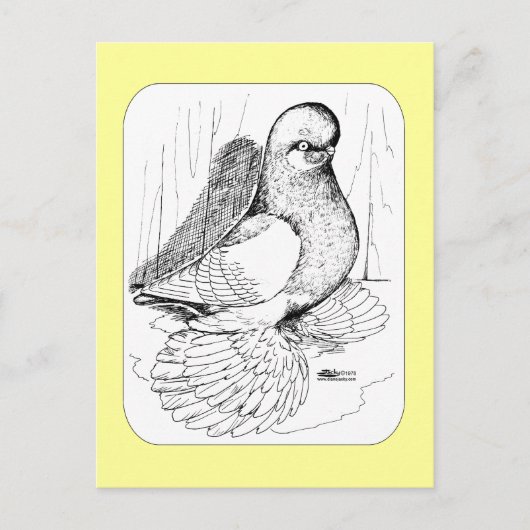 Tumbler 1978 briefkaart (Voorkant)