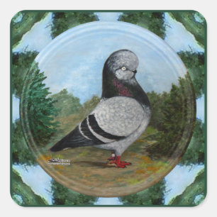 Tumbler Blue Grizzle Pigeon Vierkante Sticker