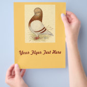 Tumbler-duif: LFCL Mealy Flyer (Hand)