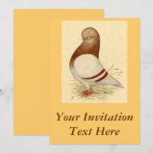 Tumbler-duif: LFCL Mealy Kaart (Voorkant / Achterkant)