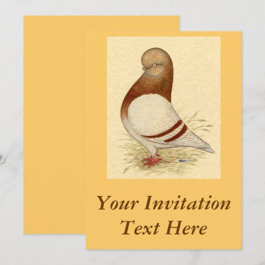 Tumbler-duif: LFCL Mealy Kaart (Voorkant / Achterkant)