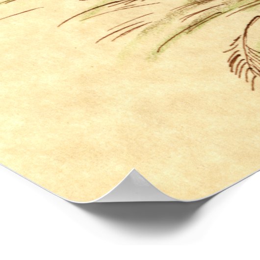 Tumbler-duif: LFCL Mealy Poster (Hoek)