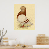 Tumbler-duif: LFCL Mealy Poster (Keuken)