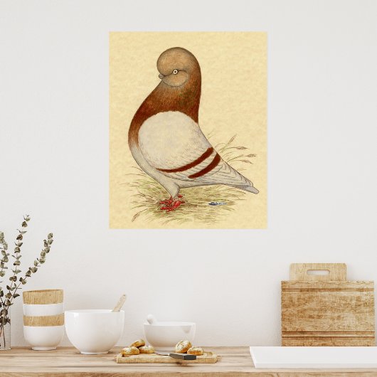 Tumbler-duif: LFCL Mealy Poster (Keuken)