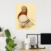 Tumbler-duif: LFCL Mealy Poster (Thuiskantoor)