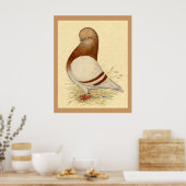 Tumbler-duif: LFCL Mealy Poster (Keuken)