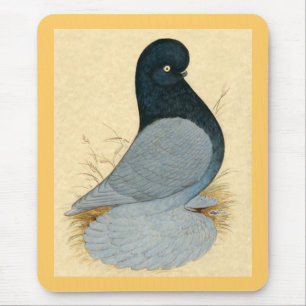 Tumbler: Muffed Andalusiaans Muismat