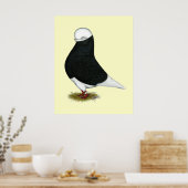 Tumbler Pigeon Black Bald CL Poster (Keuken)