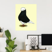 Tumbler Pigeon Black Bald CL Poster (Thuiskantoor)