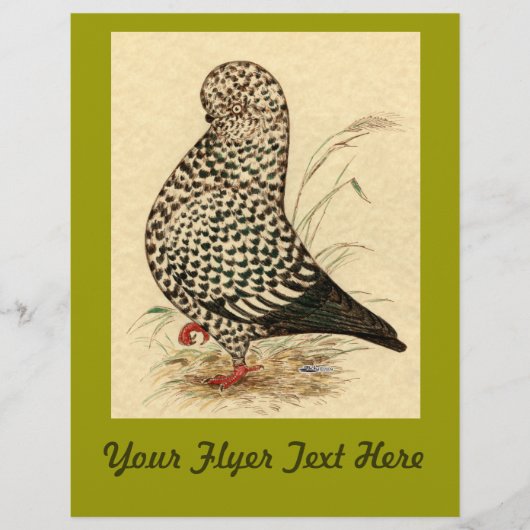 Tumbler Pigeon LFCL Splash Flyer (Voorkant)