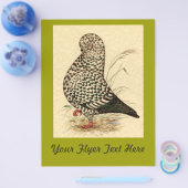 Tumbler Pigeon LFCL Splash Flyer (Enkel)