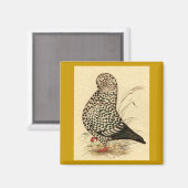 Tumbler Pigeon LFCL Splash Magneet (Voorkant / Achterkant)