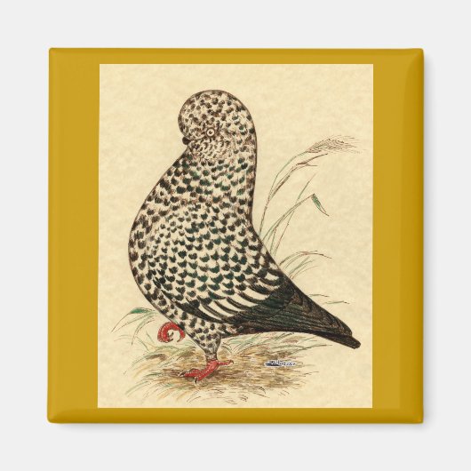 Tumbler Pigeon LFCL Splash Magneet (Voorkant)