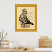 Tumbler Pigeon LFCL Splash Poster (Keuken)