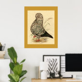 Tumbler Pigeon LFCL Splash Poster (Thuiskantoor)