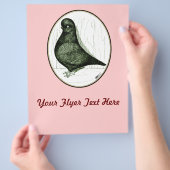 Tumbler Pigeon LFCL uit 1978 Flyer (Hand)