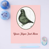Tumbler Pigeon LFCL uit 1978 Flyer (Enkel)